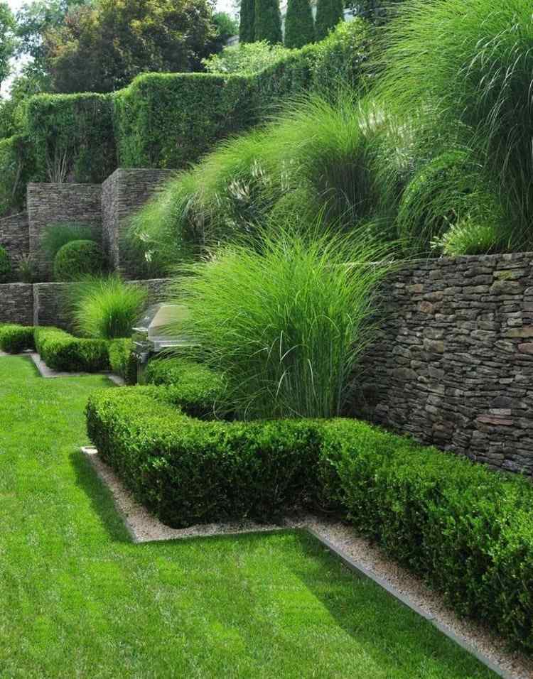 O buxo combina com delicadas gramíneas ornamentais na frente de uma parede no jardim em uma encosta