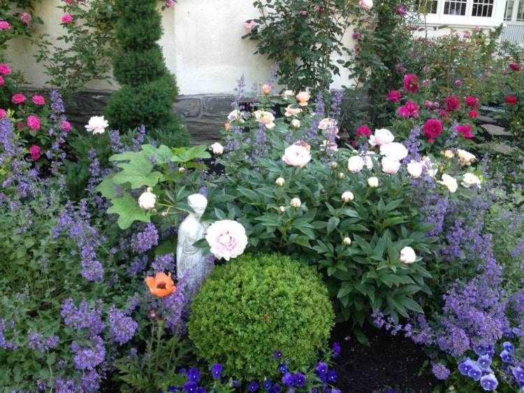 Canteiro de flores colorido com erva-dos-gatos e peônias e caixa como uma bola