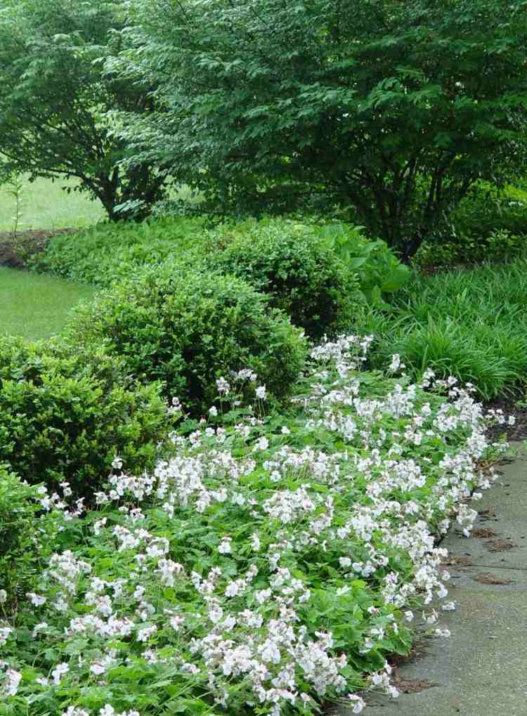 Combinação neutra com um bico-de-grua branco como caminho verde