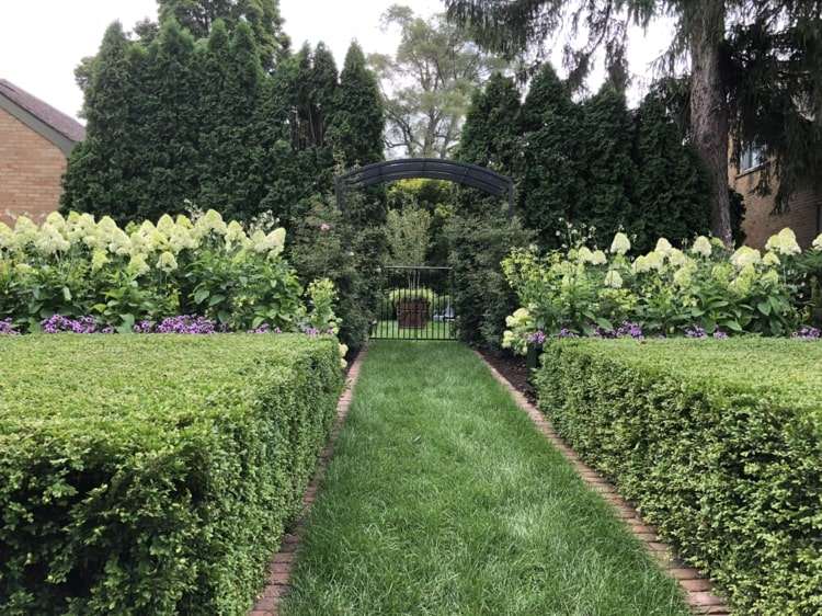 Hortênsias e sebes para um arranjo de jardim em verde e branco