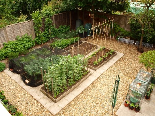 Crie uma pequena horta de jardim