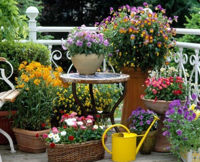 Idéias vasos de plantas cesta de flores de diferentes alturas de cerâmica