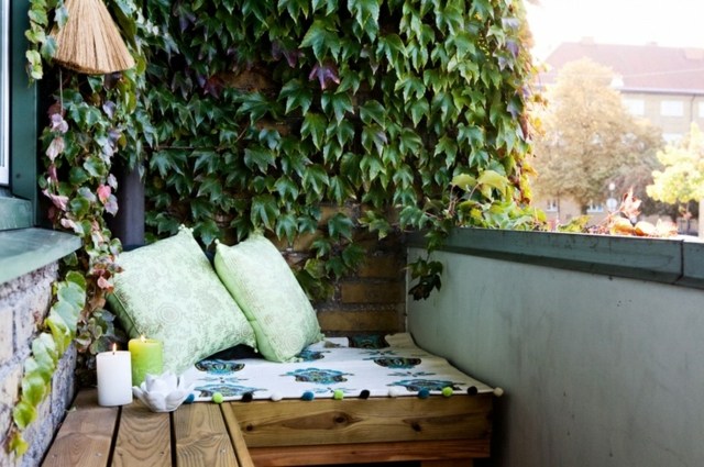 Plante almofadas de concreto gradeamento privacidade tela ivy