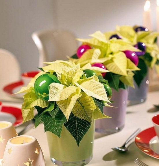 Plantas com flores de inverno amarelas bolas de decoração de mesa de Natal