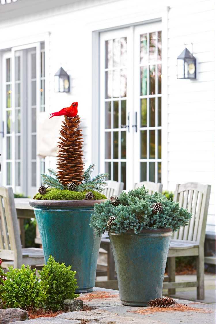Decoração de inverno em janeiro para as coníferas de entrada da casa e figuras de pássaros e musgo