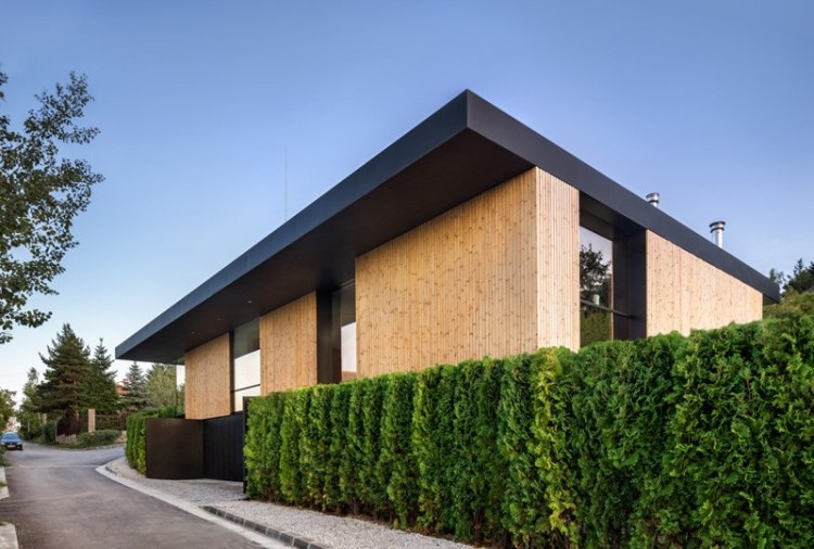 glass-wall-exterior-flat-roof-house-wood-fachada-hedge