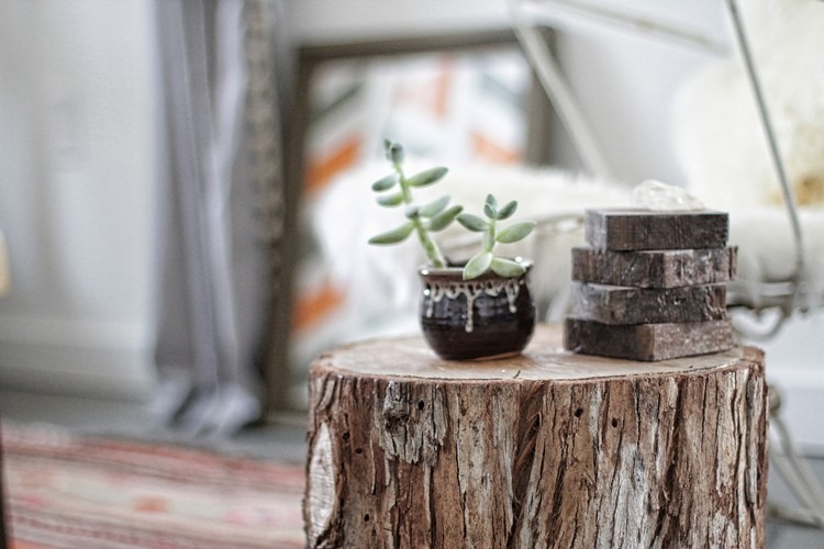 living-bohemian-style-log-side-table-suculentas