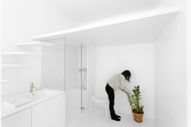 Vasos de plantas com design elegante e parede de vidro
