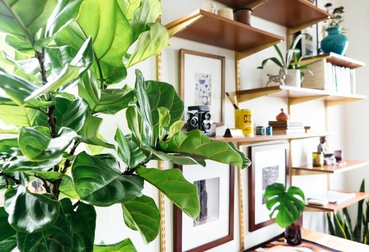 Construa sua própria unidade de parede-idéias-parede-prateleira-chique-plantas-livros-deco-vintge