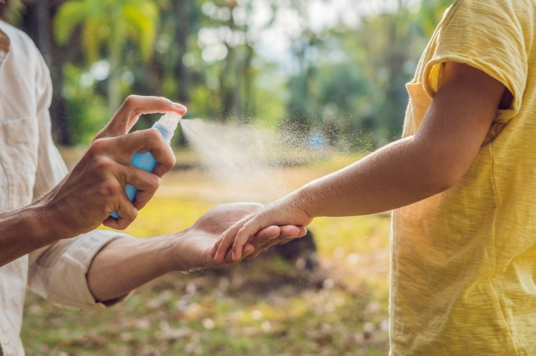 Faça DIY inseto spray contra mosquitos, carrapatos e outros insetos